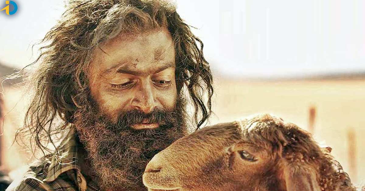 Tamil Audiences overreaction on The Goat Life Performance in Telugu States